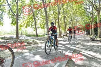 JOSE MOTA SALES Talajara 2019 7 15205