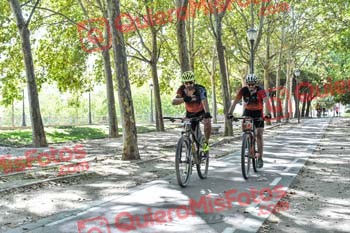 SERGIO NAVARRO DONORO Talajara 2019 7 15612