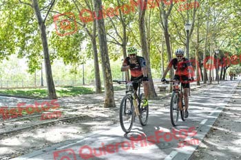 SERGIO NAVARRO DONORO Talajara 2019 7 15613
