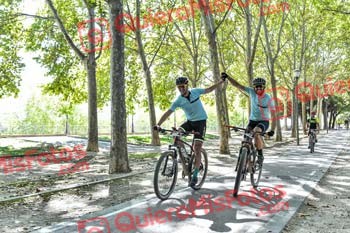LUIS PEREZ LLORENTE Talajara 2019 7 15739