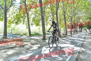 VICENTE SALCEDO NUEVO Talajara 2019 7 15921