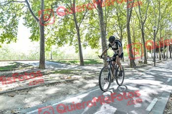 VICENTE SALCEDO NUEVO Talajara 2019 7 15922