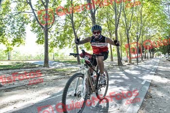 JAVIER BECERRIL DEL OLMO Talajara 2019 7 16139