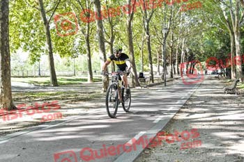MARCOS RODRIGUEZ GONZALEZ Talajara 2019 7 16331
