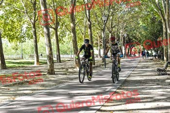 JOSE ANGEL CORREAS MAYORAL Talajara 2019 7 16469