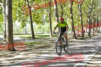 VICENTE MANZANEQUE LOPEZ-ROCA Talajara 2019 7 16492