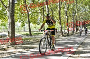 LUIS ARTURO ESTEVEZ BUSNADIEGO Talajara 2019 7 16643