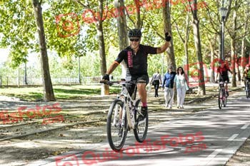 VICENTE BETETA ARENAS Talajara 2019 7 16708