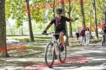 VICENTE BETETA ARENAS Talajara 2019 7 16709