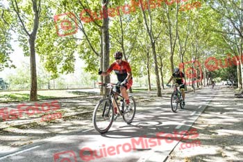 LUIS BERMEJO NEBREDA Talajara 2019 7 17245