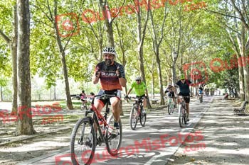 ISMAEL ZAMORA RUBIO Talajara 2019 7 17763