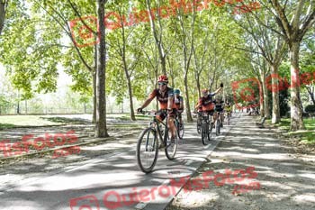 DIEGO VIZCAINO TERUELO Talajara 2019 7 17863