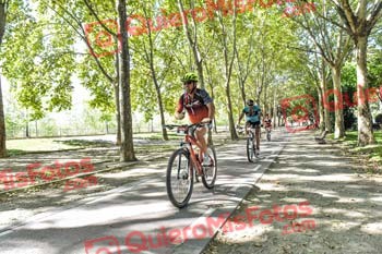 KAROLY SANDOR NAGY Talajara 2019 7 17901