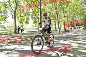 JOSE LUIS GALLEGO FERNANDEZ Talajara 2019 7 17968