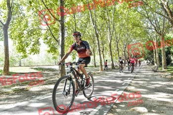 DANIEL PABLOS COTRINA Talajara 2019 7 18377