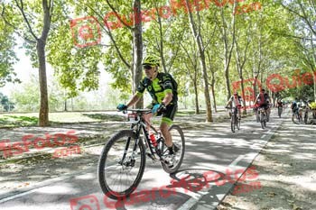 LUIS GONZALEZ REVELDERIA Talajara 2019 7 18596