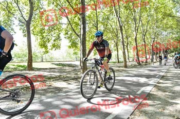 MANUEL LORENZO VISTA Talajara 2019 7 18654