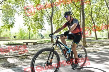 JOSE LUIS PRIETO GAYO Talajara 2019 7 18772