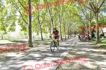 MIGUEL MARTINEZ CAMACHO Talajara 2019 7 18777