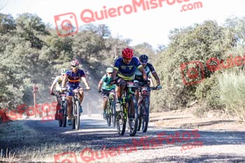 JOSUE FRANCO VIGARA Talajara 2019 7 20753