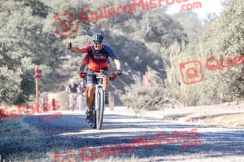 PEDRO CUBERO COLLADO Talajara 2019 7 21230