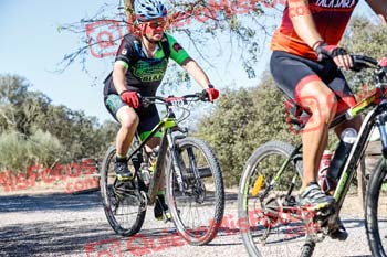 TOMAS ROMAN GALLEGO Talajara 2019 7 22122
