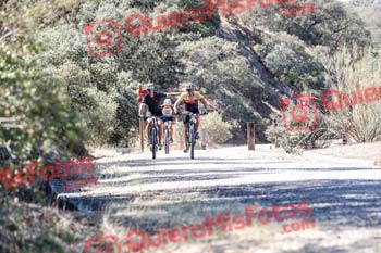 RUBEN DIEGO PALOMO Talajara 2019 7 23010