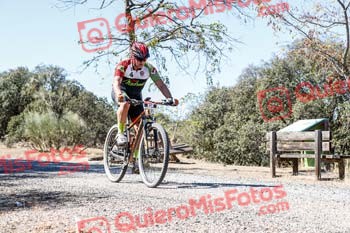 JOSE RIEZGO CORTES Talajara 2019 7 23024