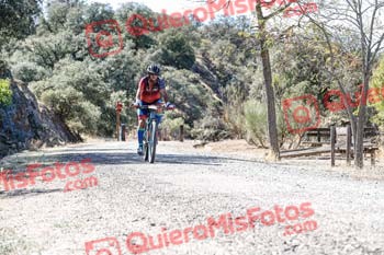 SALVADOR NIETO LUCAS Talajara 2019 7 23612
