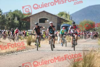JAVIER PALAVECINO MONSERRAT Talajara 2019 5 06928