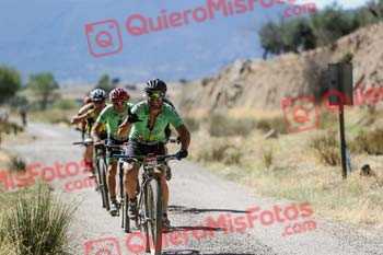 GERARDO GIL IZQUIERDO Talajara 2019 5 08391