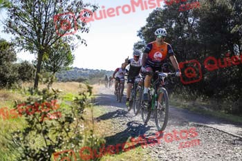 JUAN CARLOS MARIN MONTORO Talajara 2021 15281