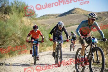 LUIS ORTIZ SAFON Talajara 2022 00670