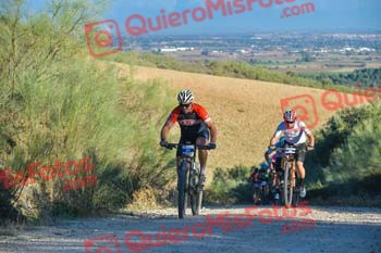 Talajara 2023 014831
