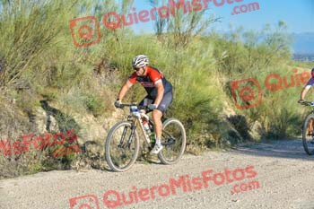 Talajara 2023 014836