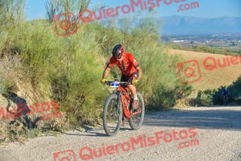 ENRIQUE GALLEGO CABANILLAS Talajara 2023 014854