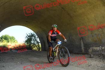 Talajara 2023 004208