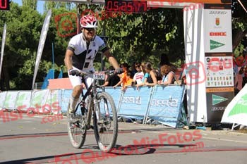 JAVIER PALOU DIAZ Talajara 2016 3 16003