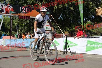 JAVIER PALOU DIAZ Talajara 2016 3 16004