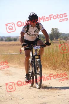 JUAN ENRIQUE HERRERA ALVAREZ Talajara 2016 3 10037