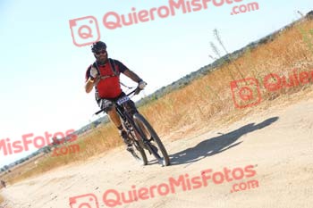PABLO BOYERO BRAVO Talajara 2016 3 10584