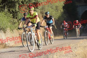 PEDRO LUIS CUESTA COLMENAREJO Talajara 2016 4 26458
