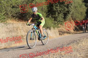 JOAQUIN MARTIN GONZALEZ Talajara 2016 4 26593