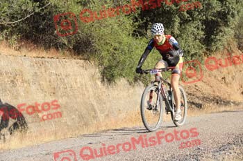 JAVIER LABRADOR NUNEZ Talajara 2016 4 26625