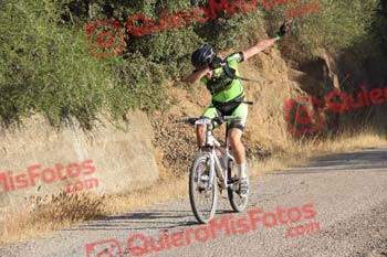 MARIO ACEITUNO ROSADO Talajara 2016 4 26810