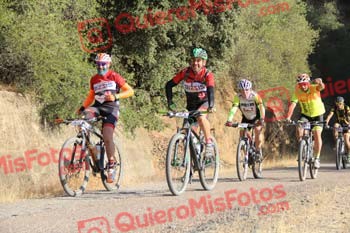 MANUEL MARTINEZ ALONSO Talajara 2016 4 27041