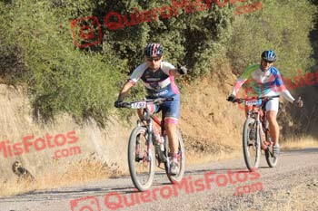 MANUEL CAMARA GALIANO Talajara 2016 4 27092