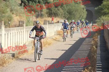 JUAN CARLOS PELEGRINA FRANCISCO Talajara 2016 4 28743