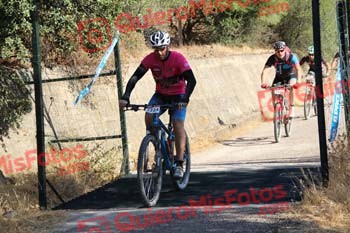 JOSE OTERINO ALONSO Talajara 2016 4 29261