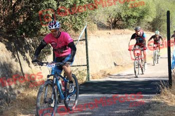 JOSE OTERINO ALONSO Talajara 2016 4 29262